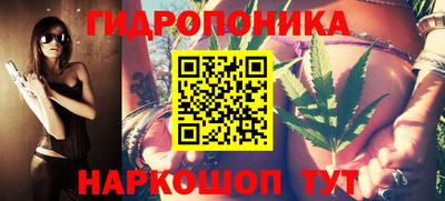 дмт Можга