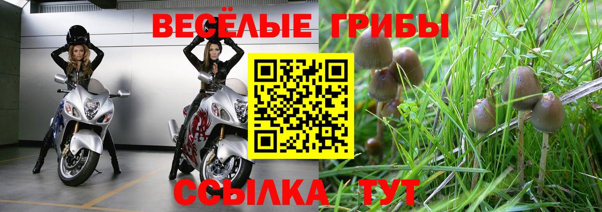 Галлюциногенные грибы Psilocybine cubensis  Вход с VPN  Светлоград 